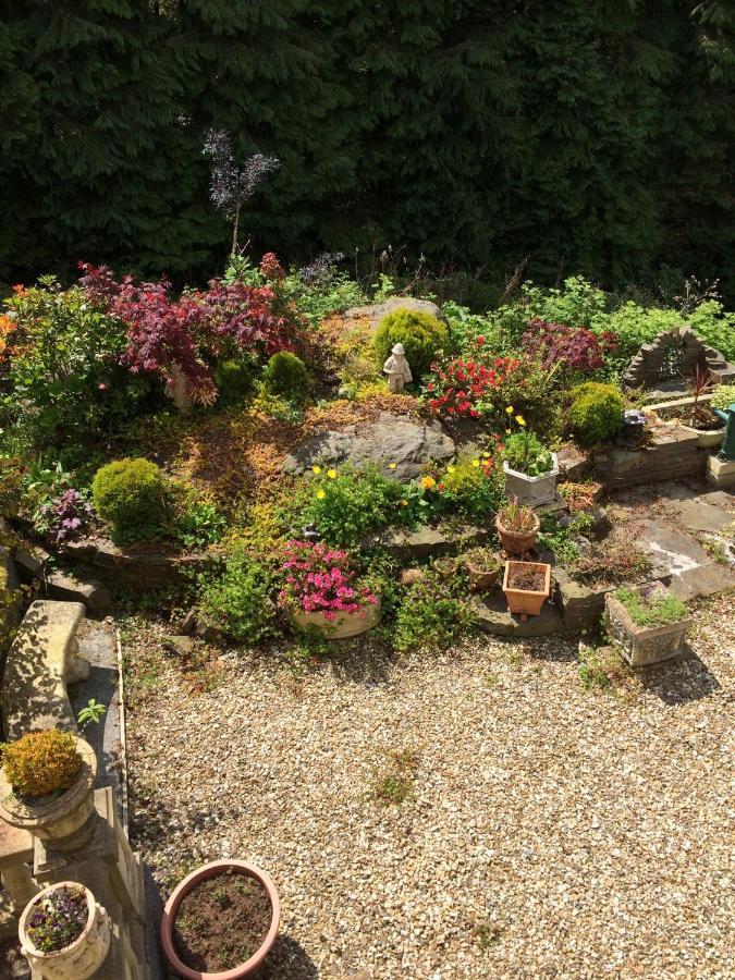 Cymmer Rowan House Bed Breakfast Main House & Self Contained Self Catering Apartment מראה חיצוני תמונה